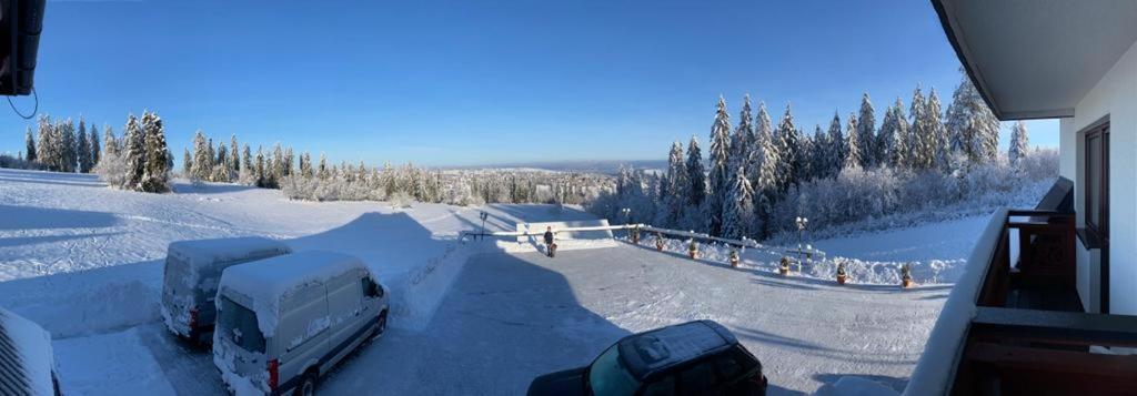 Harmatowka Bed & Breakfast Буковина Татжанска Екстериор снимка